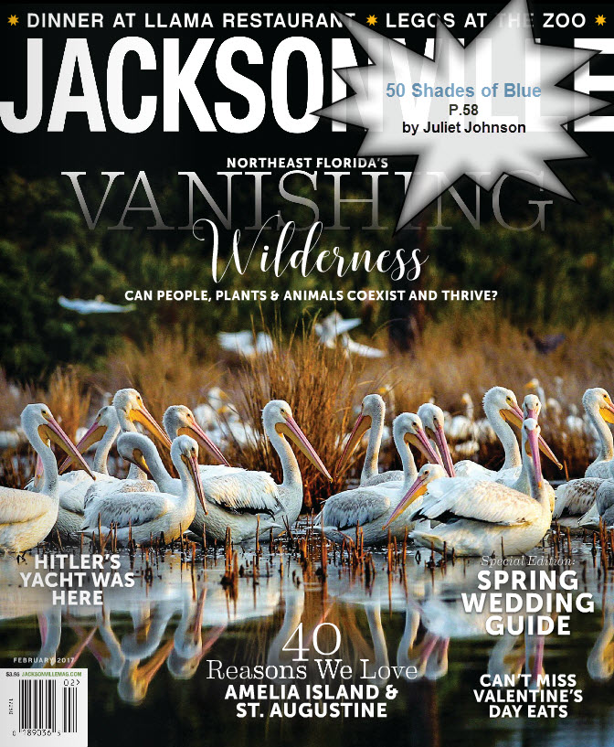 Juliet Johnson author of Home Profile, Jacksonville Magazine